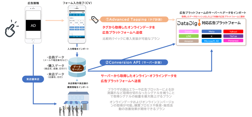 【DD】capi_release_v2_240613
